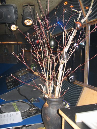 img_7875.jpg