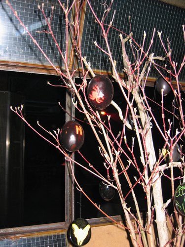 img_7877.jpg
