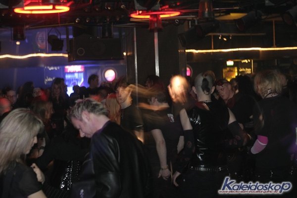 blackegg_0078_l.jpg
