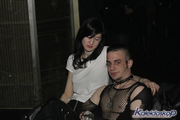 blackegg_0163_l.jpg