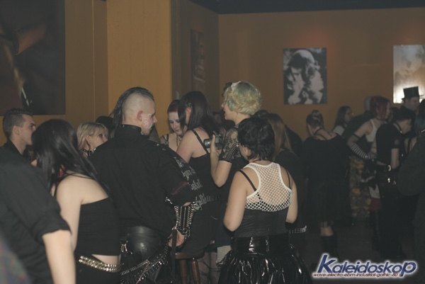 blackegg_0182_l.jpg