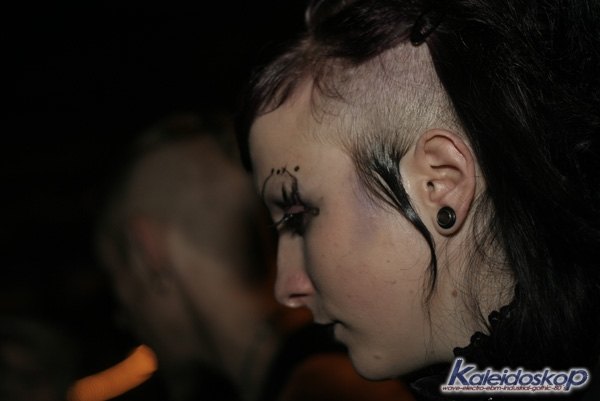 blackegg_0192_l.jpg