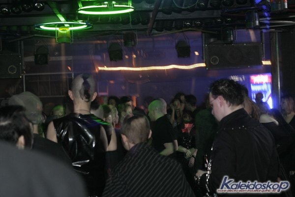 blackegg_0195_l.jpg