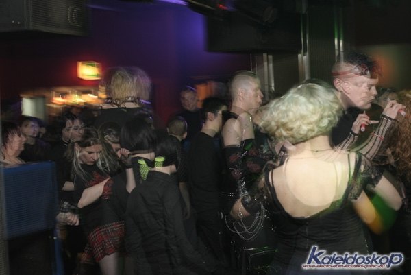 blackegg_0203_l.jpg