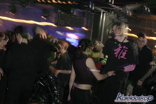 blackegg_0208_l.jpg