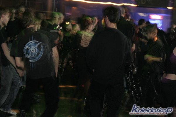blackegg_0209_l.jpg
