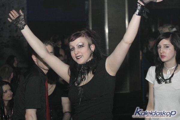 blackegg_0221_l.jpg