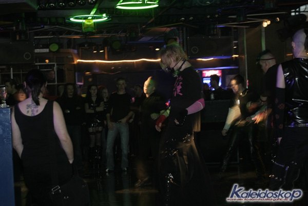 blackegg_0238_l.jpg