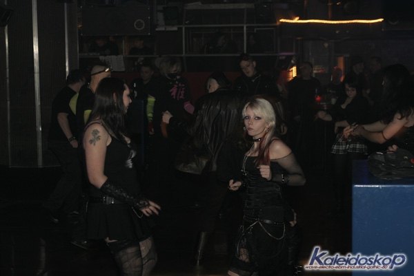 blackegg_0282_l.jpg