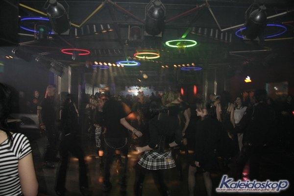 blackegg_0298_l.jpg
