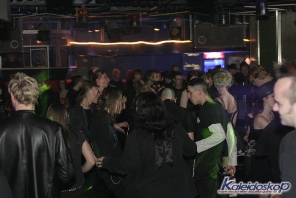 blackegg_0323_l.jpg