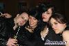 img_2726_l.jpg