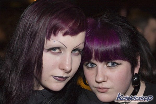 img_3182_l.jpg