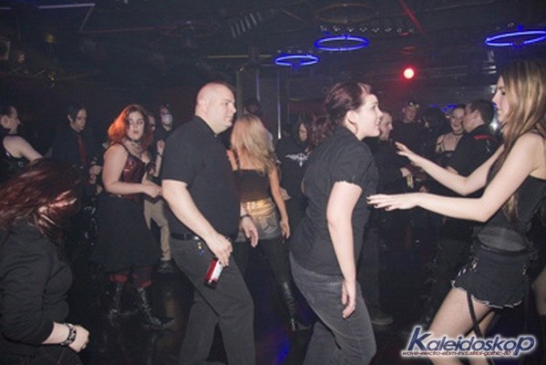 img_3338_l.jpg