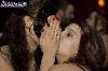 img_4243_l.jpg