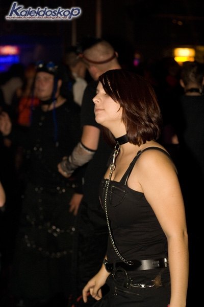 img_3710_l.jpg