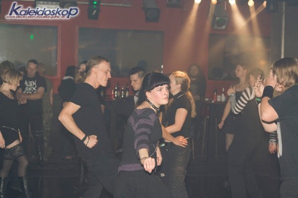 img_3802_l.jpg