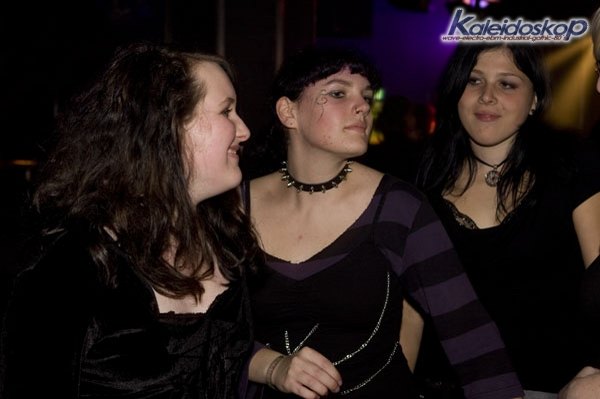 img_3951_l.jpg