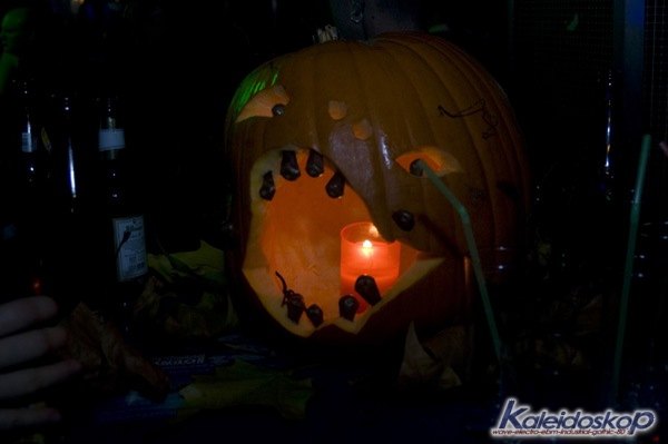img_4110_l.jpg