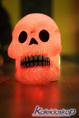 img_4987_l.jpg