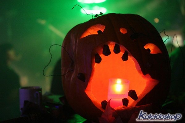 img_4999_l.jpg