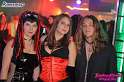 bachus_031