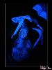 blacklight_3_l.jpg