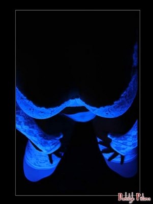 blacklight_4_l.jpg