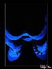 blacklight_4_l.jpg