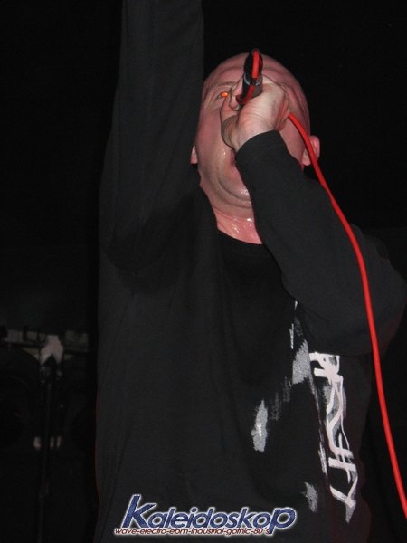 dark_spring40_l.jpg