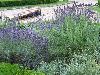 rodemack07_05_l.jpg