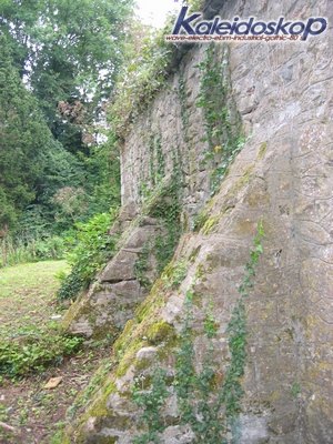 rodemack07_24_l.jpg