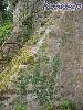 rodemack07_25_l.jpg