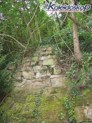 rodemack07_36_l.jpg
