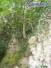 rodemack07_37_l.jpg