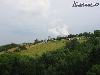 rodemack07_42_l.jpg