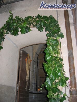 rodemack07_55_l.jpg