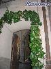 rodemack07_55_l.jpg