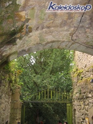 rodemack07_57_l.jpg