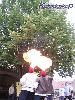 rodemack07_58_l.jpg